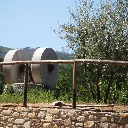 Apartment Il Frantoio - A