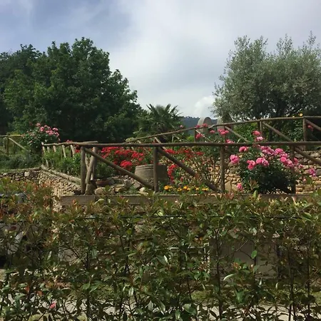 Il Frantoio - A * Lucca